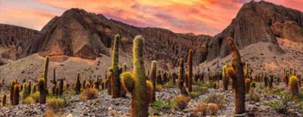 Salta La Linda | Abril 2026